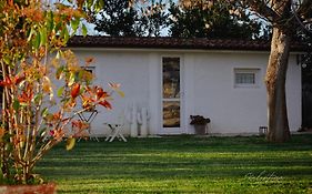 Arcadia - Sirolo